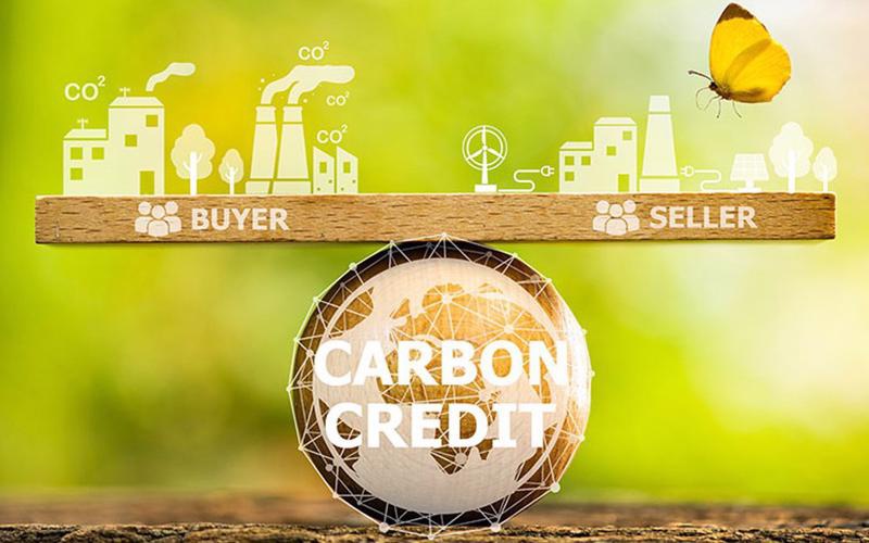 thi_truong_tin_chi_carbon_co_hoi_lon_cho_doanh_nghiep_tien_phong_800.