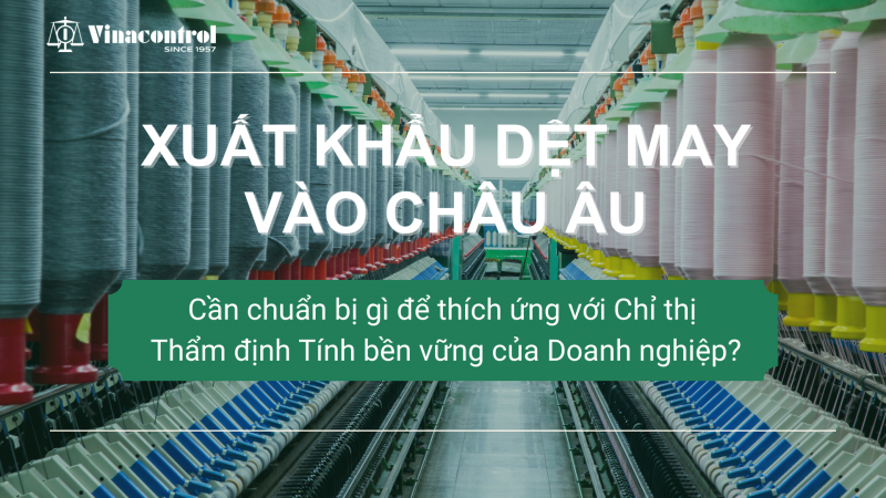 xuat_khau_det_may_vao_thi_truong_chau_au_-_doanh_nghiep_can_chuan_bi_gi_de_thich_ung_voi_chi_thi_tham_dinh_tinh_ben_vung_cua_doanh_nghiep_800