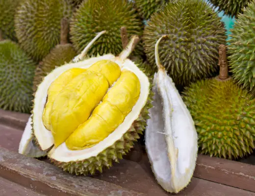 Kiem nghiem sau rieng