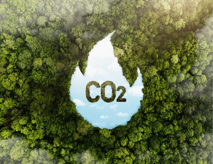 thị trường carbon Việt Nam