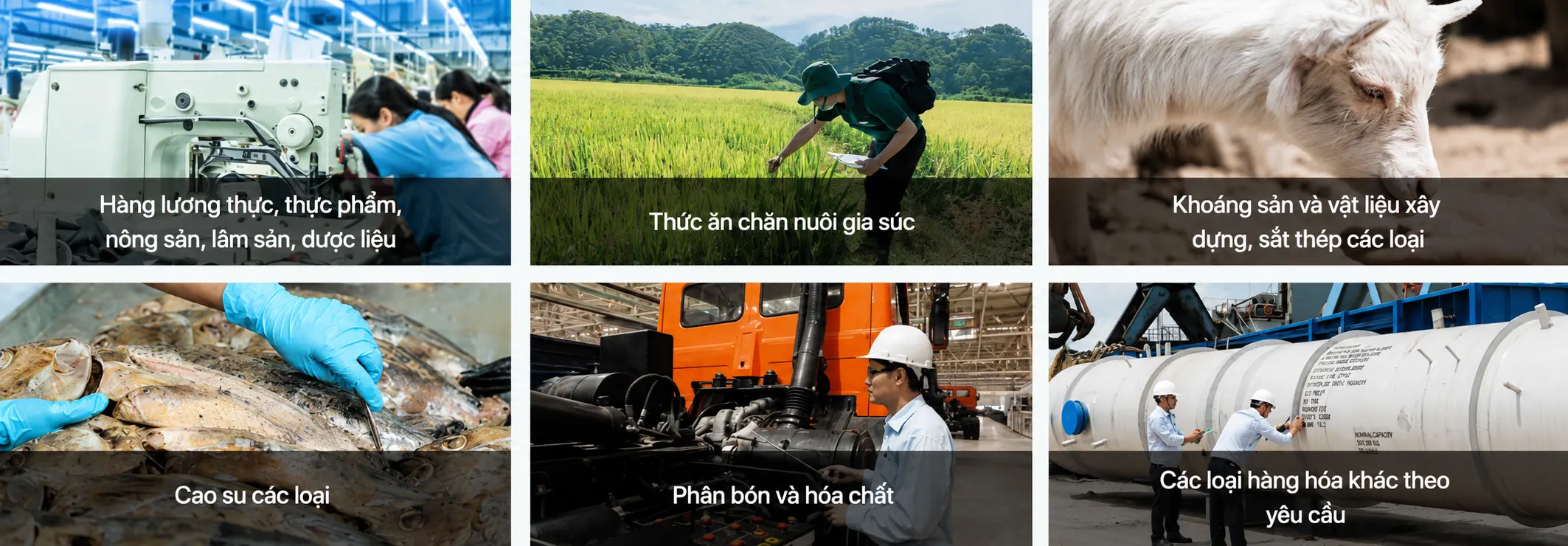 Vinacontrol cung cấp dịch vụ quản lý hàng thế chấp đối với đa dạng loại hàng hóa