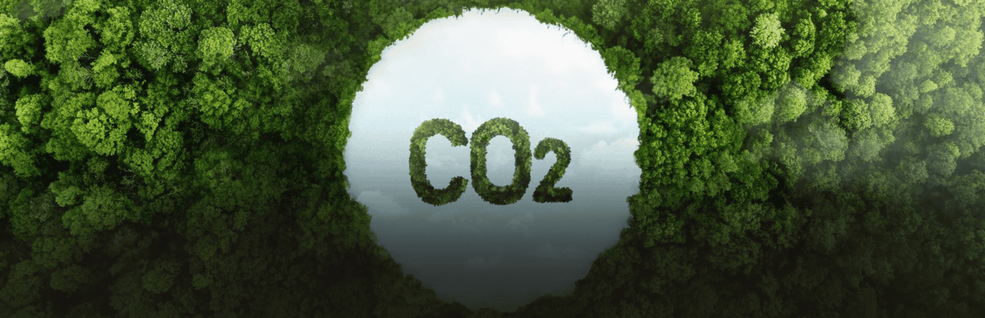 EU carbon market