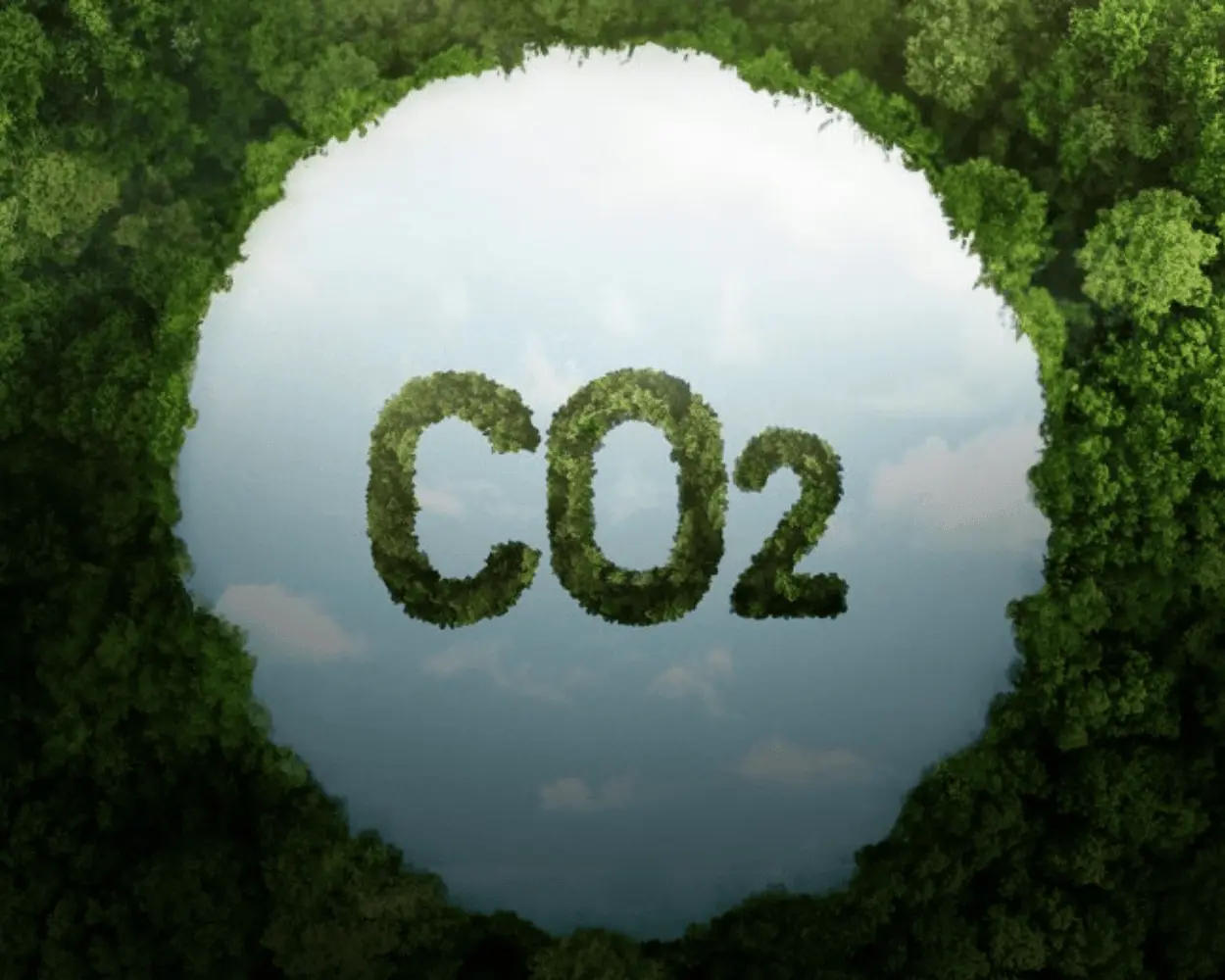 EU carbon market